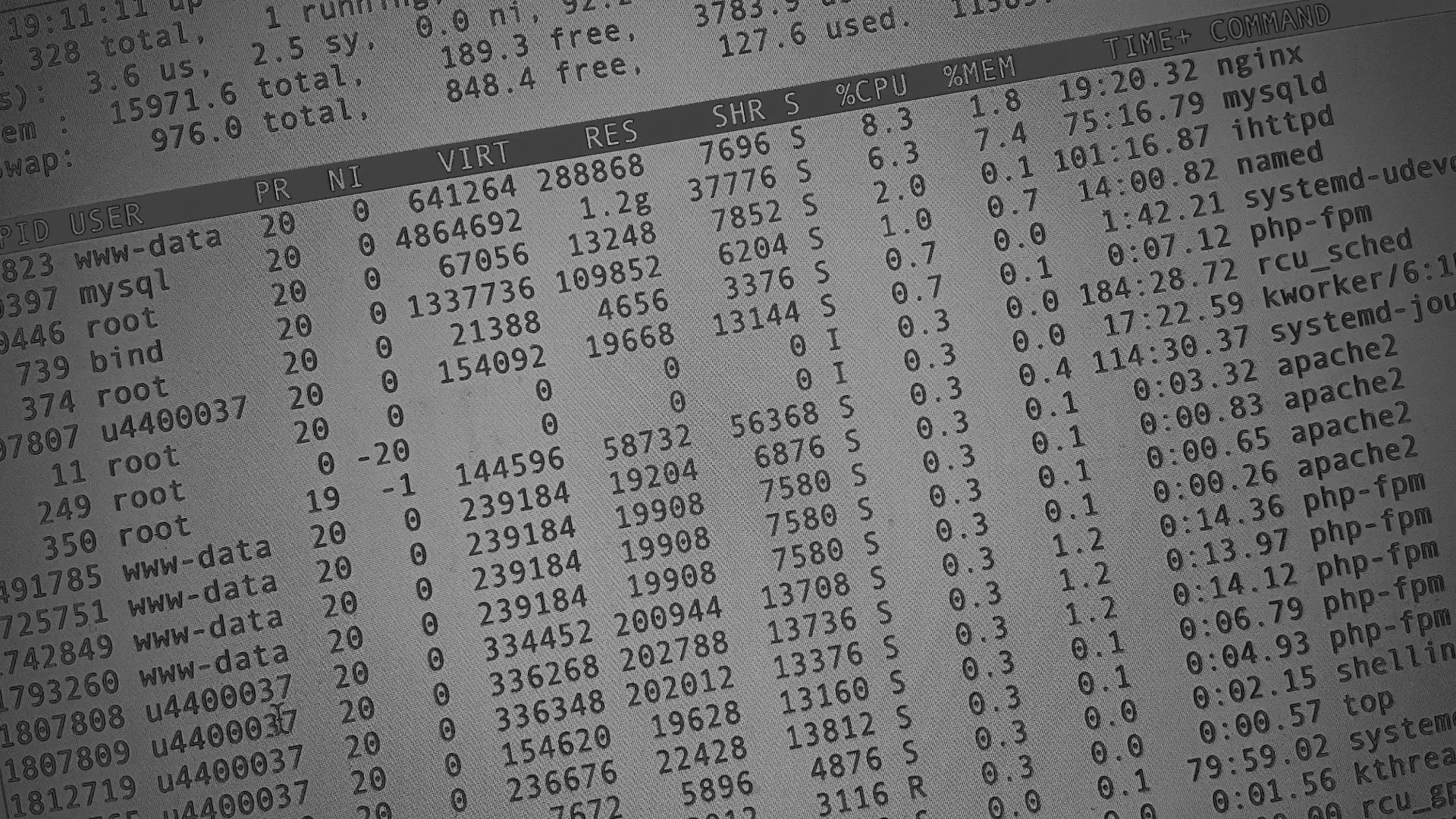 Настройка сервера в Губкине