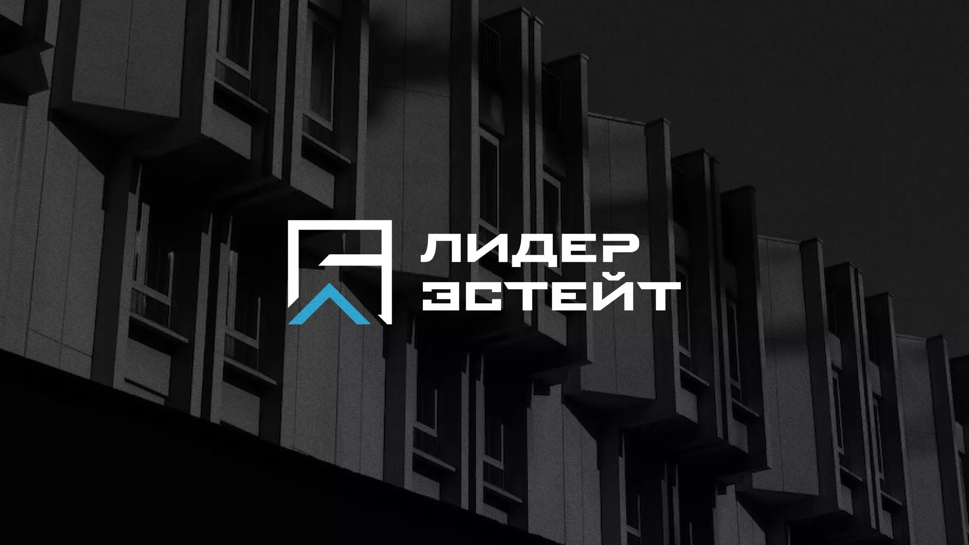 Разработка логотипа агентства недвижимости «Лидер Эстейт» в Губкине