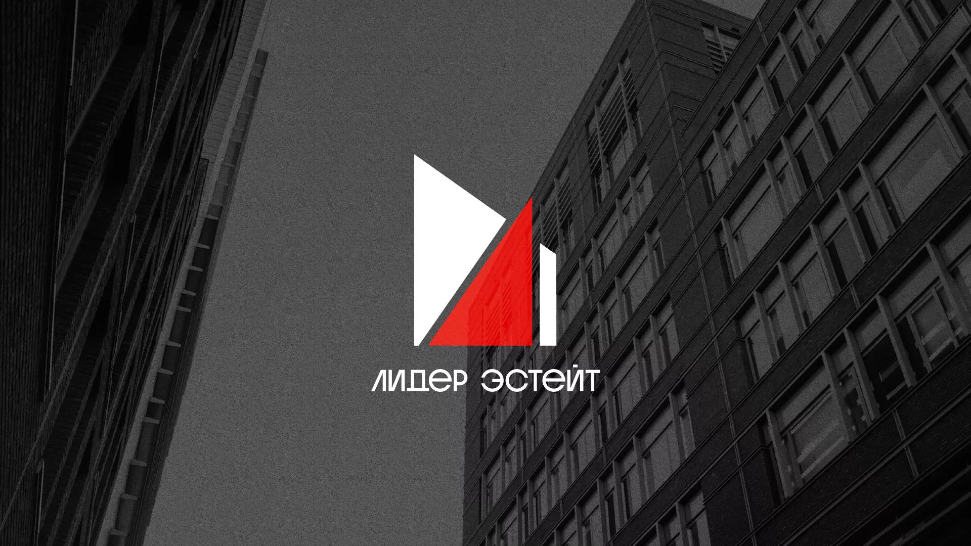 Сделали логотип для агентства недвижимости «Лидер Эстейт» в Губкине